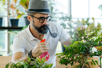 A beautiful beard man wearing hat and eyeglasses and smoke with pipe using a sprayer to watering the small plant in home indoor garden as a hobby - Powered by Adobe