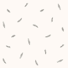 Branch of rosemary. Trendy pattern with twig. Vector contour illustration.