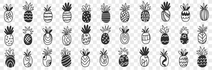 Tropical pineapple fruits doodle set. Collection of hand drawn fresh ripe exotic fries pineapples tasty delicious sweet for diet clean eating weight loss food isolated on transparent background