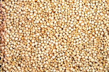 White quinoa seeds texture background closeup, macro shot