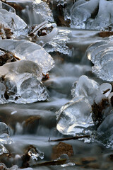 Vereister Bach im Nationalpark Hunsrück-Hochwald
