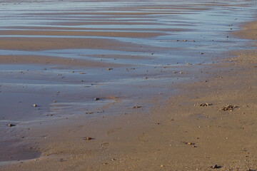 Vista parcial de los charcos residuales que se forman en playa durante la marea baja. Fotografía tomada en Conil de la Frontera (Cádiz / Andalucía). 