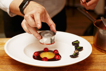 Chef is cooking gourmet dish, toned