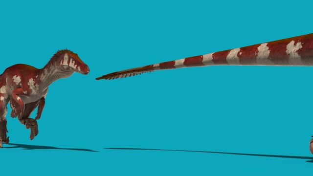 Group of Austroraptors Runs Blue Screen Side Dinosaurs 3D Rendering Animation 4K