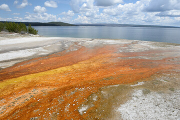 West Thumb Geyser Basin in Yellowstone National Park, Wyoming, USA
