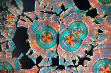 Vitamin C crystal under the microscope using polarized light