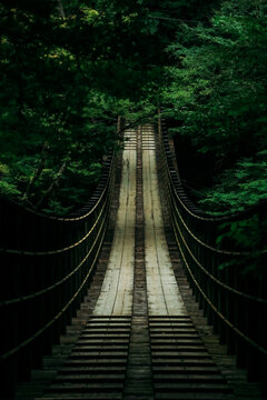 緑に囲まれた吊り橋 © 拓馬 福富