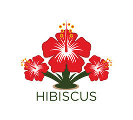 Vector of hibiscus flower design eps format, suitable for your design needs, logo, illustration, animation, etc.