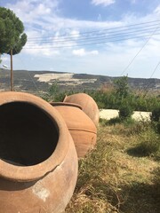 Pots in garden