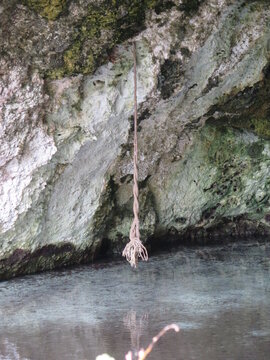 a hanging root in a tectonic break next to the Sendero Enigma de las Rocas hiking trail in Cienaga de Zapata, Cuba, November