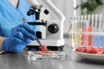 Scientist checking meat at table in laboratory, closeup. Quality control