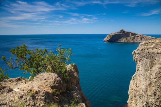 Novy Svit Botanical Reserve, Novy Svit, Crimea