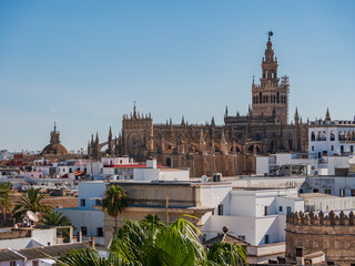 Fototapeta premium Sevilla Holidays