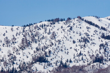 春の晴天の鳥海高原