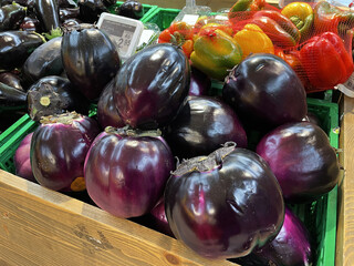 Round purple eggplant box for sale in a greengrocer