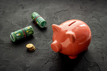 Investment concept. Piggy bank with money, close up