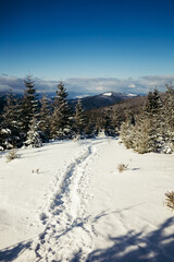 Fototapeta premium A snow a covered slope a mountain