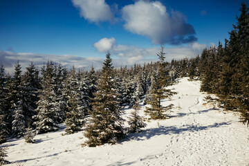 A snow a covered slope a mountain