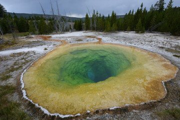 Morning Glory pool at Old Faithful geothermal area in Yellowstone National Park, Wyoming, USA