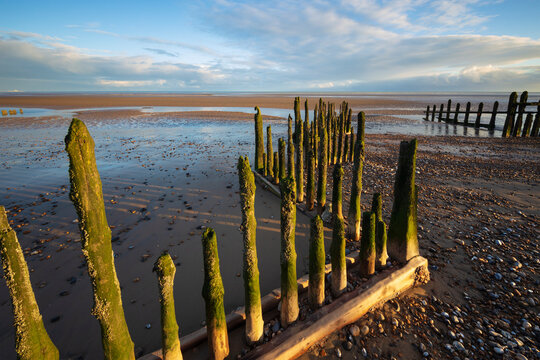 Rotting upright wooden posts of old sea defences on Winchelsea beach, Winchelsea, East Sussex