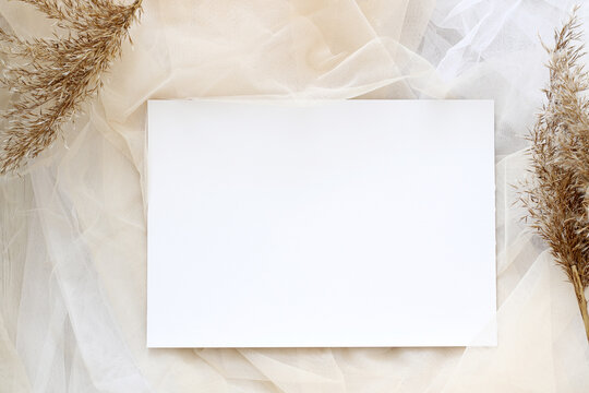 pastel tones blank a4 paper template, picture mockup