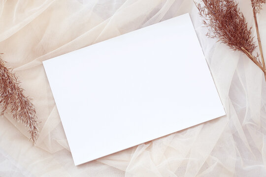 pastel tones blank a4 paper template, picture mockup