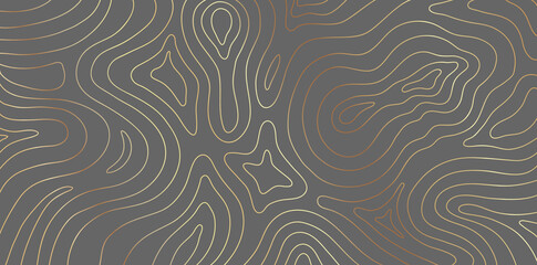 Luxury gold abstract topographic map texture on gray background. Golden lines waves topographical design for fabric , packaging