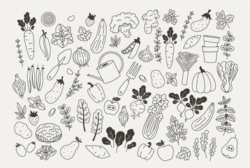 Collection of herbs and vegetables. Contour doodle minimalist style illustration. Line art. Farm harvest theme. Vector illustration