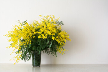 Bouquet of mimosa in the vase. Yellow spring flowers. 8 March , Easter, Mother's day