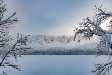 Fototapeta na wymiar Winter snowy forest. Winter landscape. Winter's tale.