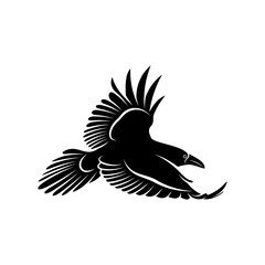 Raven bird vector illustration design