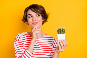 Photo of young beautiful happy smiling good mood dreamy girl look copyspace hold cactus isolated on...