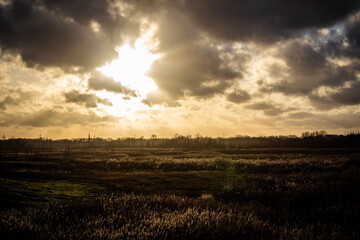 sunset over the field