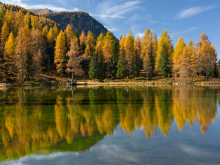 Fototapeta na wymiar Lago San Pellegrino (Lech de San Pelegrin) during fall at Passo San Pellegrino in the Dolomites. Italy.