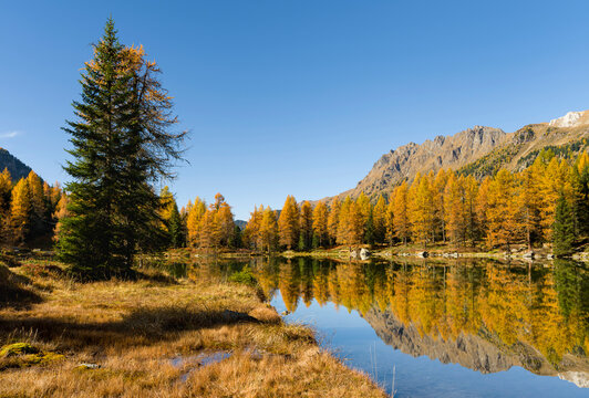 Lago San Pellegrino (Lech de San Pelegrin) during fall at Passo San Pellegrino in the Dolomites. Italy.