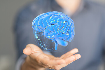 Creative background, the human brain on a blue background, the hemisphere