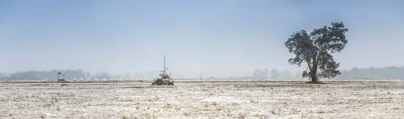 Snow-coverd, frozen fields and meadows, eastern Poland, Podlasie