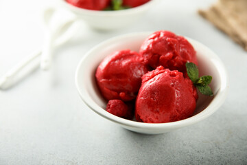 Delicious homemade raspberry sorbet or ice cream - obrazy, fototapety, plakaty