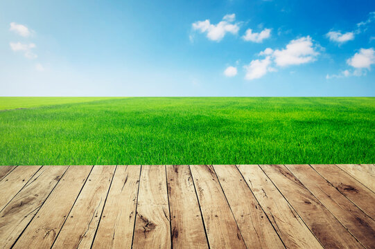 top empty wood with green grass and blue sky background