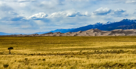 Fototapeta na wymiar Great Sand Dunes with mountains in the background, Colorado, US