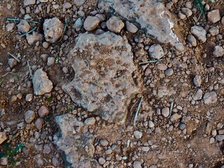 Ground Surface with Rocks and Stone