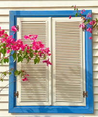 A window with white shutters and pink bougainvillea flowers on a sunny warm day. The atmosphere of relaxation and travel.