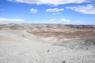 Petrified Forest National Park in Arizona, USA