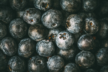 Fresh blueberry .  Blueberry berries close up texture