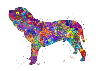 Neapolitan mastiff Dog watercolor, abstract painting. Watercolor illustration rainbow, colorful, decoration wall art.