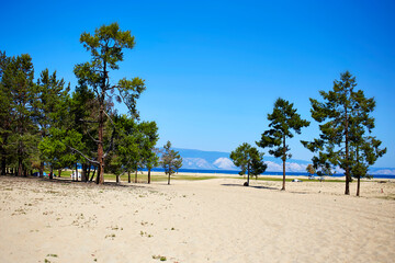 Beautiful landscape of Olkhon Island on a summer day. Larch trees grow on the sandy beach of the Saray Bay of Lake Baikal.