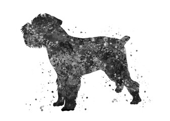 Brussels griffon Dog black and white watercolor, abstract painting. Watercolor illustration rainbow, colorful, decoration wall art