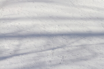 Fototapeta na wymiar Many tracks of small birds in the snow in winter, seeds in the snow