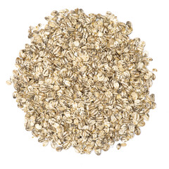 live scallops on the white background