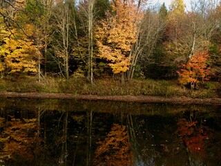 Fall Trees Reflected in Water